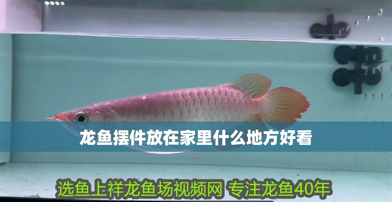 龍魚擺件放在家里什么地方好看