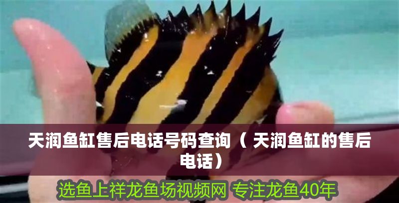 天潤魚缸售后電話號碼查詢（ 天潤魚缸的售后電話）