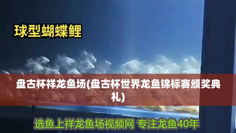 盤古杯祥龍魚場(盤古杯世界龍魚錦標賽頒獎典禮)