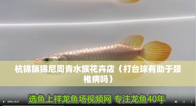 杭錦旗錫尼周青水族花卉店（打臺球有助于頸椎病嗎）
