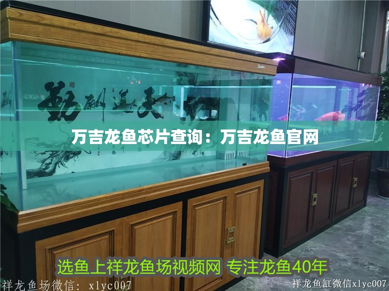 萬(wàn)吉龍魚(yú)芯片查詢：萬(wàn)吉龍魚(yú)官網(wǎng)
