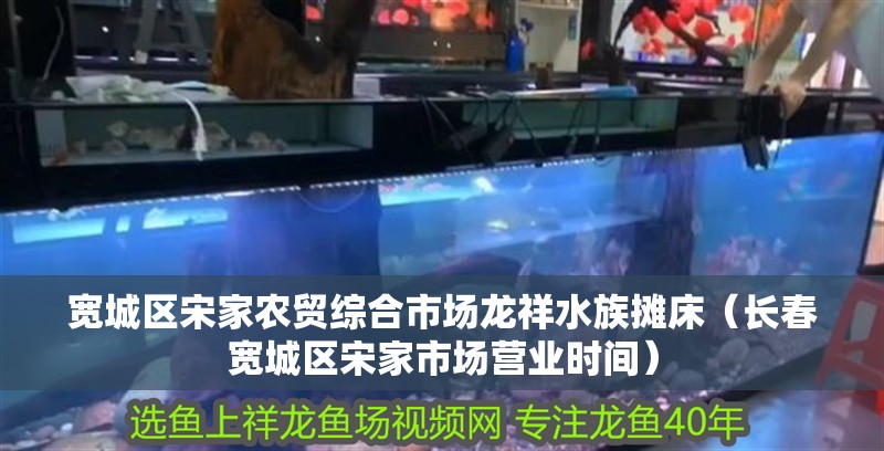 寬城區宋家農貿綜合市場龍祥水族攤床（長春寬城區宋家市場營業時間）