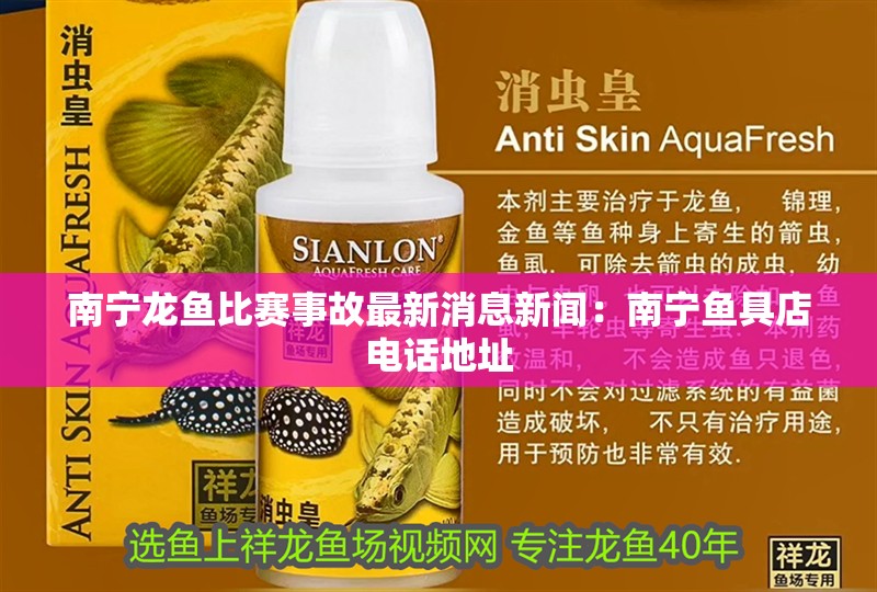 南寧龍魚比賽事故最新消息新聞：南寧魚具店電話地址