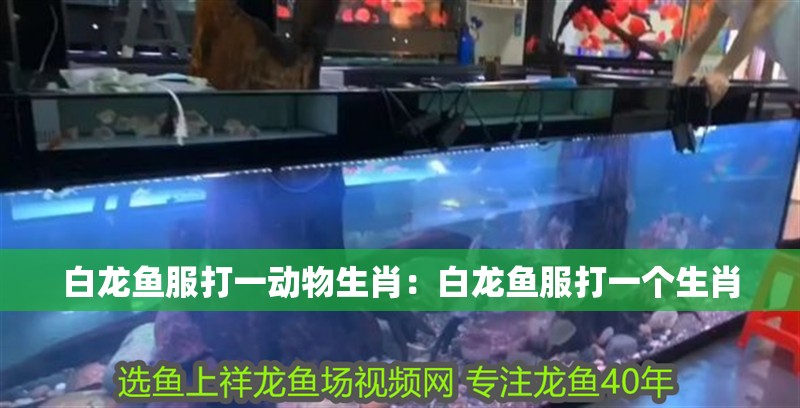 白龍魚服打一動物生肖：白龍魚服打一個生肖