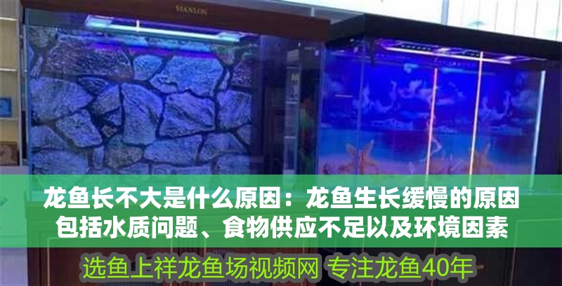 龍魚長不大是什么原因：龍魚生長緩慢的原因包括水質問題、食物供應不足以及環境因素