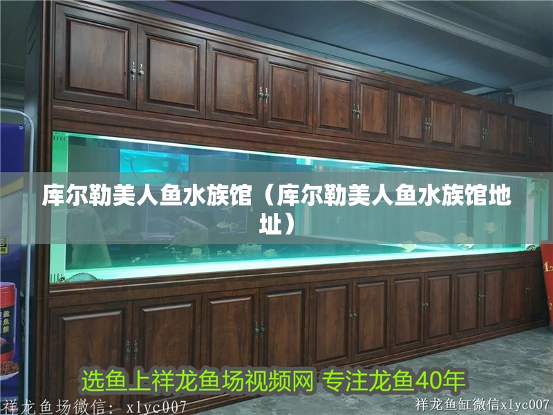 庫爾勒美人魚水族館（庫爾勒美人魚水族館地址）