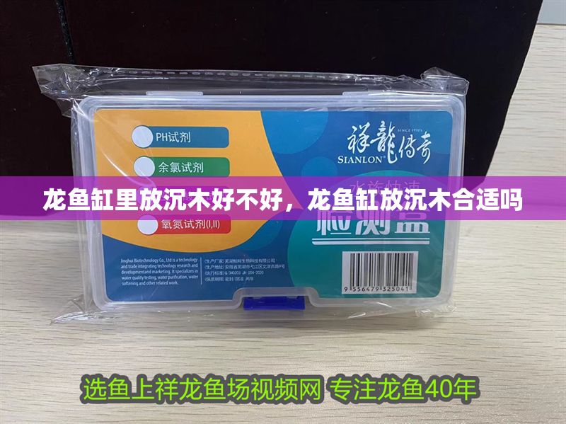 龍魚缸里放沉木好不好，龍魚缸放沉木合適嗎