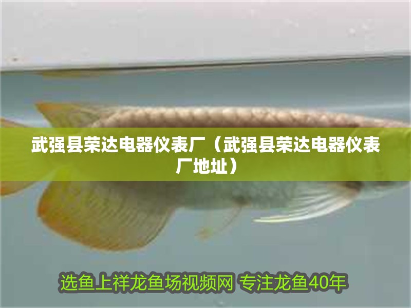 武強縣榮達電器儀表廠（武強縣榮達電器儀表廠地址）