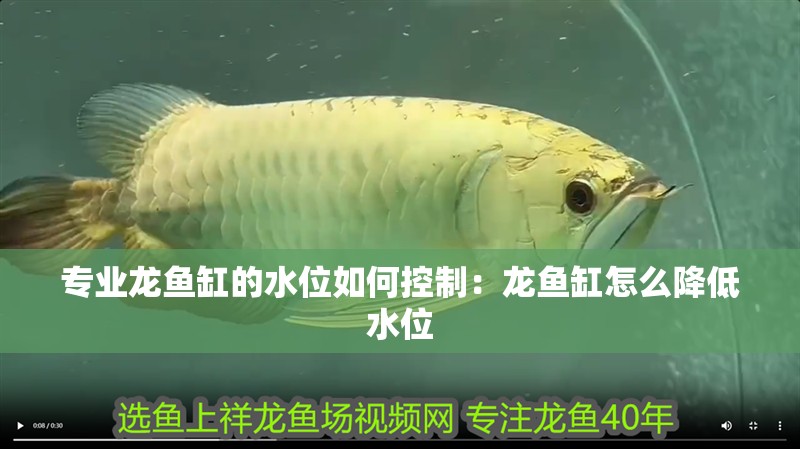 專業龍魚缸的水位如何控制：龍魚缸怎么降低水位