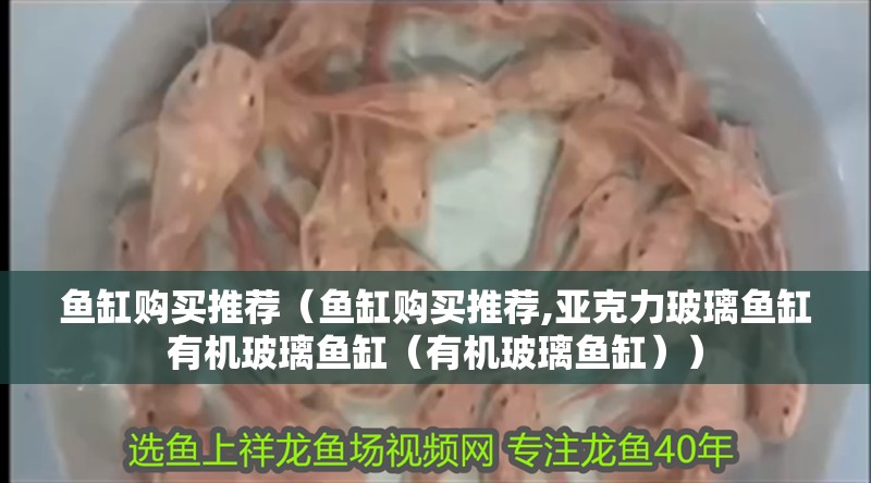 魚缸購買推薦（魚缸購買推薦,亞克力玻璃魚缸有機(jī)玻璃魚缸（有機(jī)玻璃魚缸））