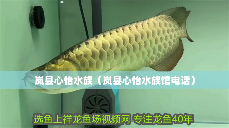 嵐縣心怡水族（嵐縣心怡水族館電話）