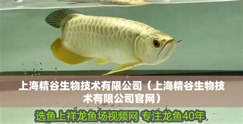 上海精谷生物技術有限公司（上海精谷生物技術有限公司官網）