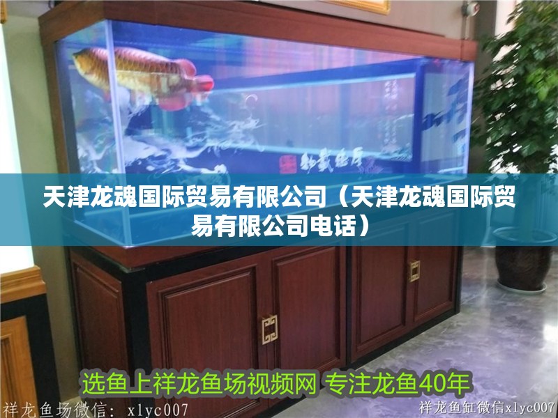 天津龍魂國際貿易有限公司（天津龍魂國際貿易有限公司電話）