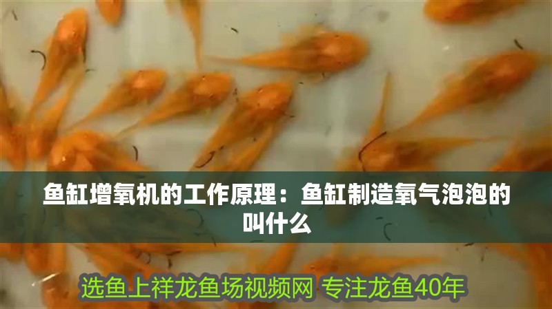 魚缸增氧機的工作原理：魚缸制造氧氣泡泡的叫什么