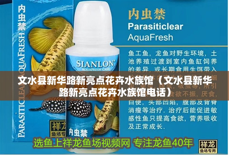 文水縣新華路新亮點(diǎn)花卉水族館(文水縣新華路新亮點(diǎn)花卉水族館電話) 全國(guó)水族館企業(yè)名錄 第2張 文水縣新華路新亮點(diǎn)花卉水族館(文水縣新華路新亮點(diǎn)花卉水族館電話) 文水縣新華路新亮點(diǎn)花卉水族館(文水縣新華路新亮點(diǎn)花卉水族館電話) 全國(guó)水族館企業(yè)名錄 第2張