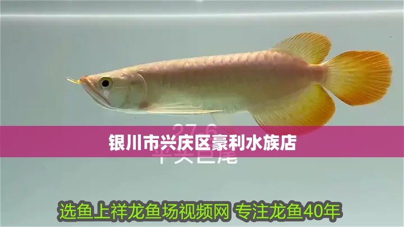 銀川市興慶區豪利水族店