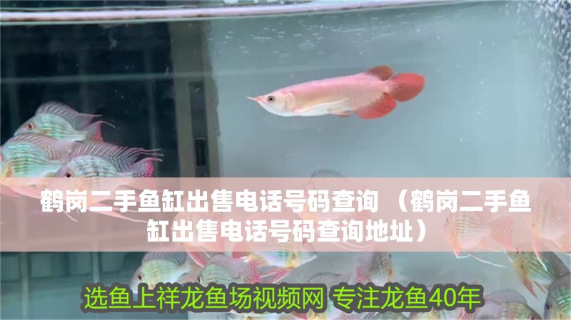 鶴崗二手魚缸出售電話號碼查詢 （鶴崗二手魚缸出售電話號碼查詢地址）