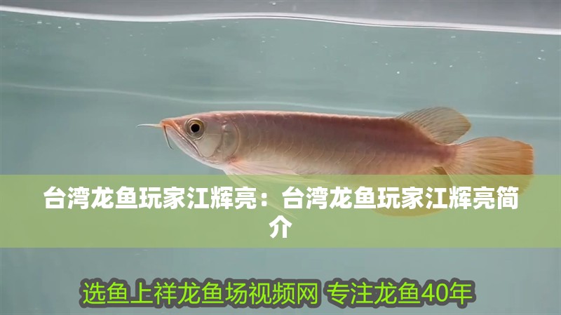 臺灣龍魚玩家江輝亮：臺灣龍魚玩家江輝亮簡介