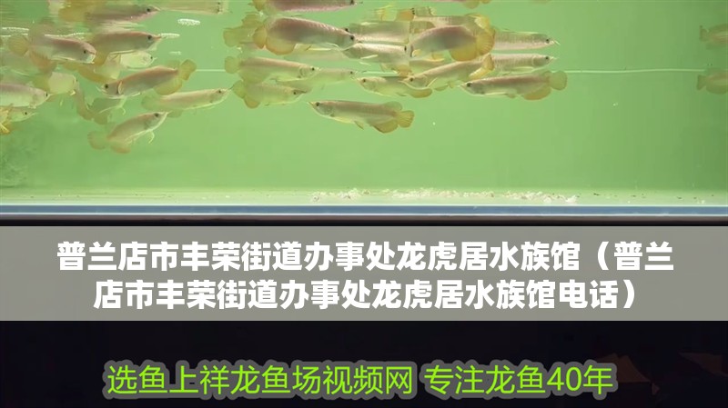 普蘭店市豐榮街道辦事處龍虎居水族館（普蘭店市豐榮街道辦事處龍虎居水族館電話）