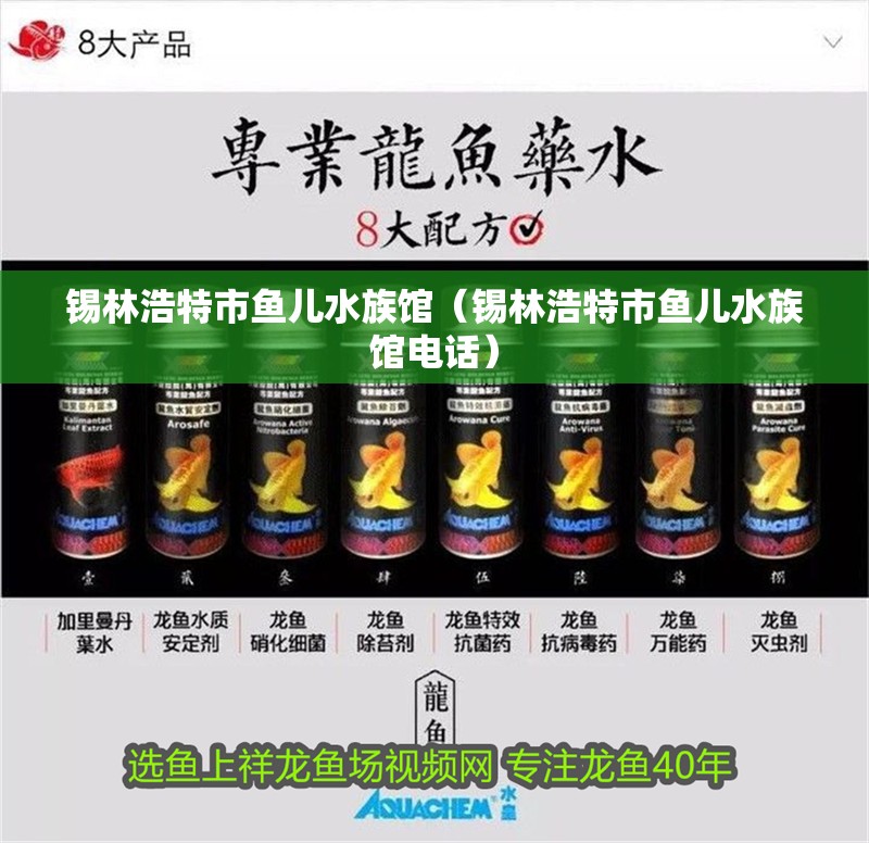 錫林浩特市魚兒水族館（錫林浩特市魚兒水族館電話）