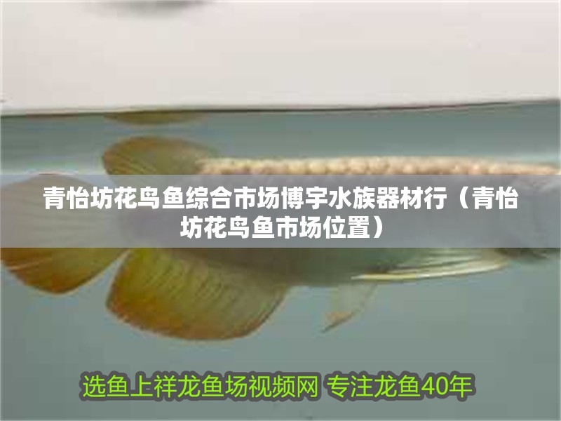 青怡坊花鳥魚綜合市場博宇水族器材行（青怡坊花鳥魚市場位置）
