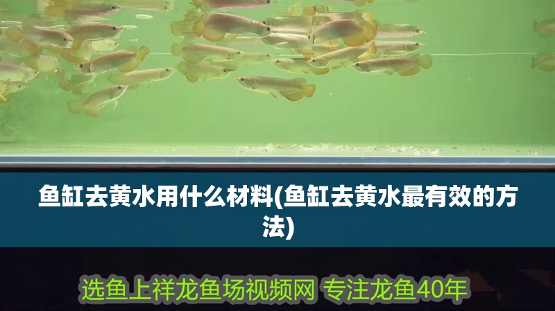 魚缸去黃水用什么材料(魚缸去黃水最有效的方法)
