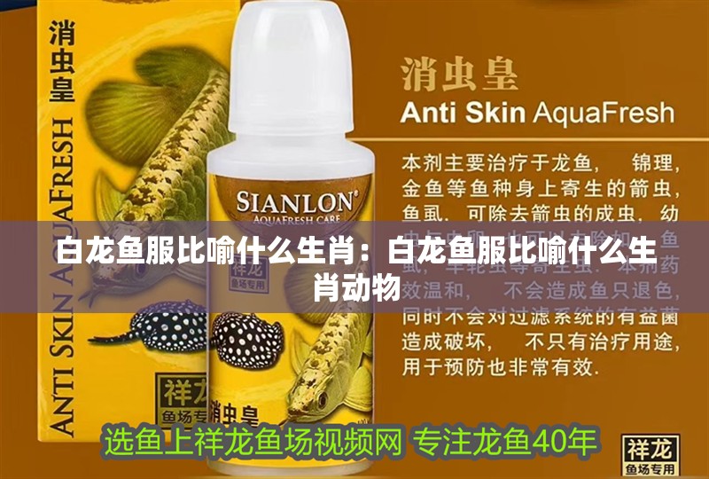 白龍魚服比喻什么生肖：白龍魚服比喻什么生肖動物