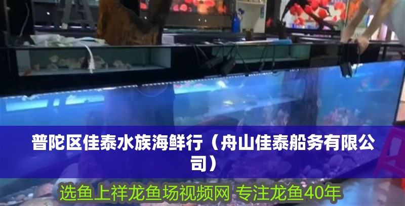 普陀區(qū)佳泰水族海鮮行（舟山佳泰船務(wù)有限公司）