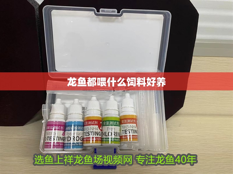 龍魚都喂什么飼料好養