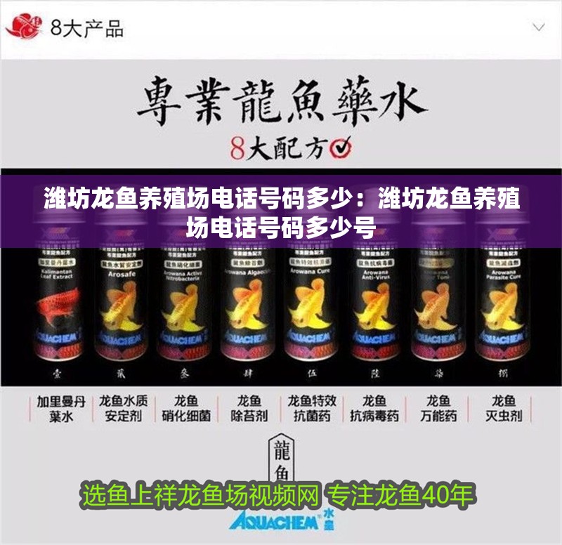 濰坊龍魚養殖場電話號碼多少：濰坊龍魚養殖場電話號碼多少號 濰坊龍魚養殖場電話號碼多少：濰坊龍魚養殖場電話號碼多少號 水族問答