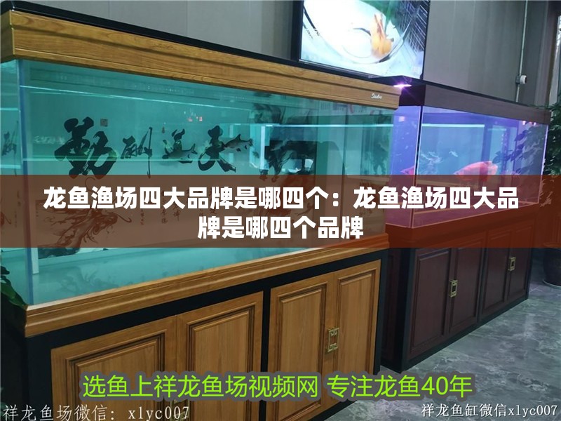 龍魚漁場四大品牌是哪四個：龍魚漁場四大品牌是哪四個品牌