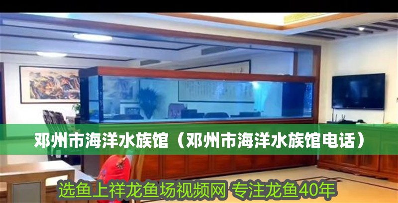 鄧州市海洋水族館（鄧州市海洋水族館電話）