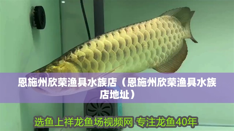 恩施州欣榮漁具水族店（恩施州欣榮漁具水族店地址）