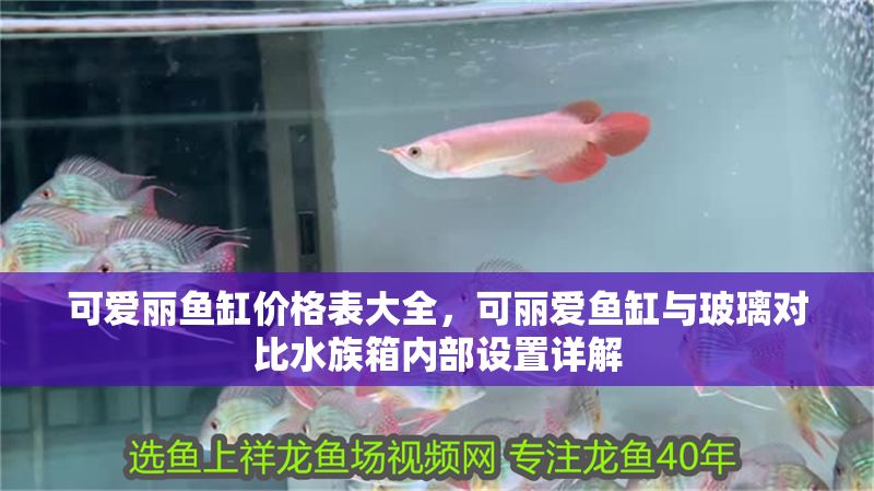 可愛麗魚缸價格表大全，可麗愛魚缸與玻璃對比水族箱內部設置詳解