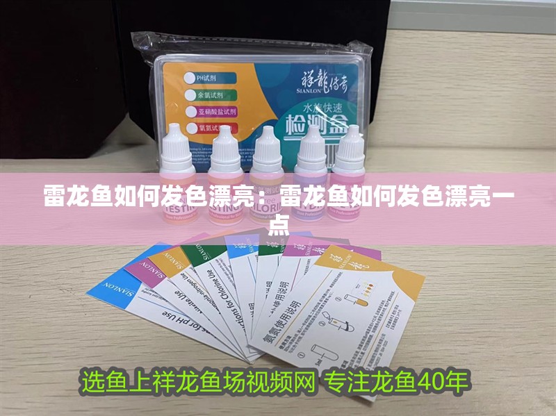 雷龍魚如何發色漂亮:雷龍魚如何發色漂亮一點 水族問答 雷龍魚如何發色漂亮:雷龍魚如何發色漂亮一點 雷龍魚如何發色漂亮:雷龍魚如何發色漂亮一點 水族問答