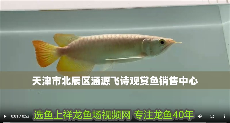 天津市北辰區涵源飛詩觀賞魚銷售中心
