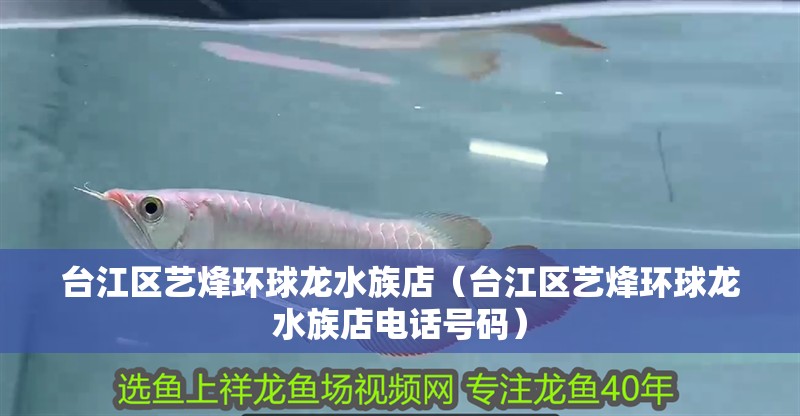 臺江區藝烽環球龍水族店（臺江區藝烽環球龍水族店電話號碼） 臺江區藝烽環球龍水族店（臺江區藝烽環球龍水族店電話號碼） 全國水族館企業名錄 第2張