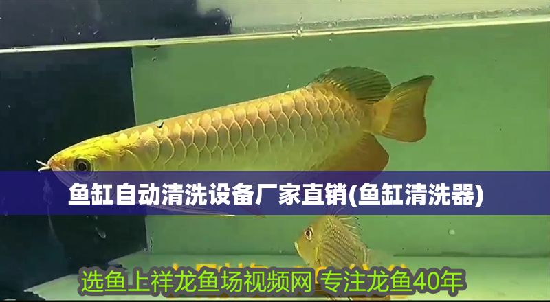 魚缸自動清洗設備廠家直銷(魚缸清洗器)