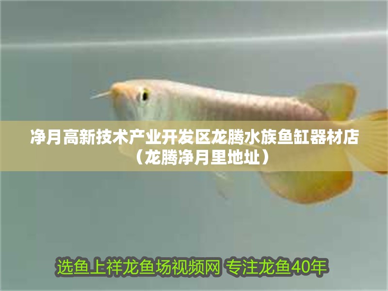 凈月高新技術(shù)產(chǎn)業(yè)開(kāi)發(fā)區(qū)龍騰水族魚(yú)缸器材店（龍騰凈月里地址）