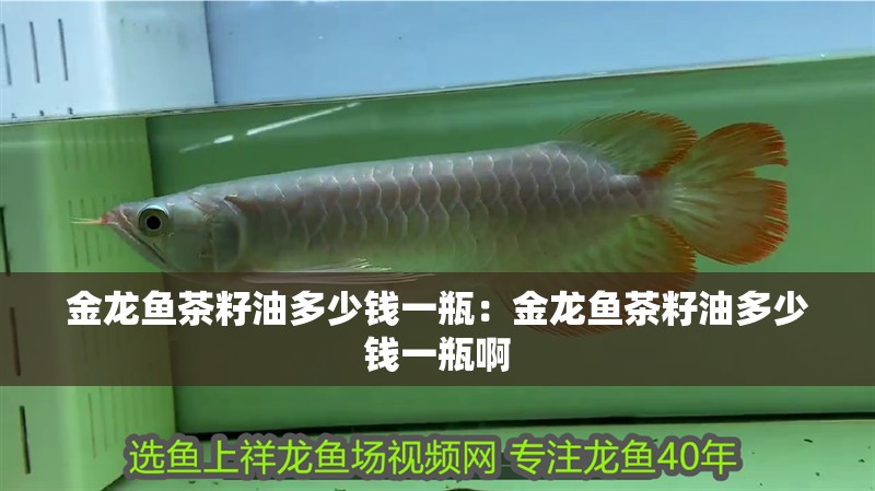金龍魚茶籽油多少錢一瓶：金龍魚茶籽油多少錢一瓶啊
