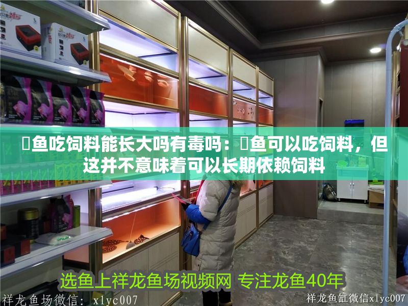 魟魚吃飼料能長大嗎有毒嗎：魟魚可以吃飼料，但這并不意味著可以長期依賴飼料