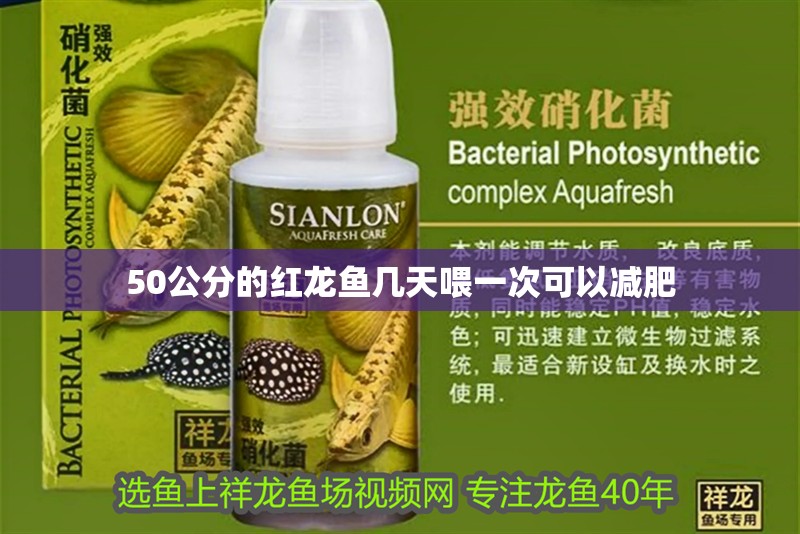 50公分的紅龍魚幾天喂一次可以減肥