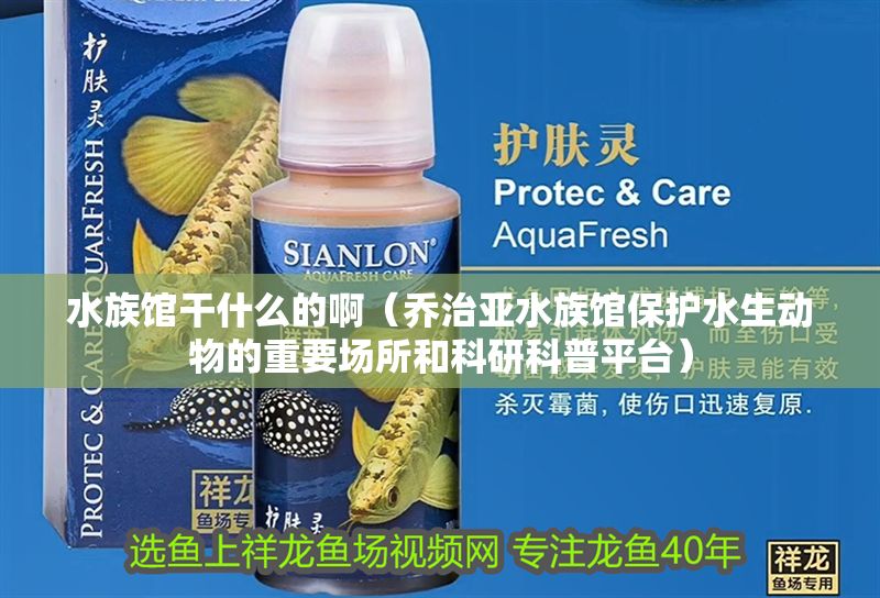水族館干什么的啊（喬治亞水族館保護水生動物的重要場所和科研科普平臺）