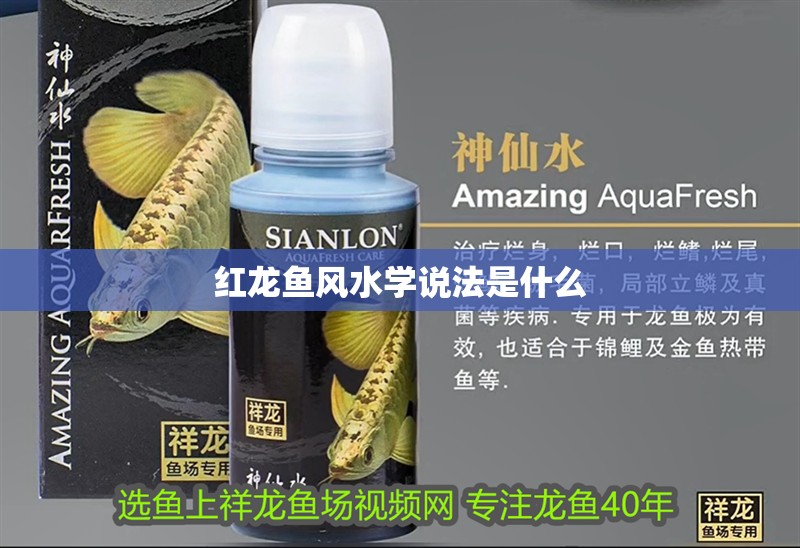 紅龍魚風(fēng)水學(xué)說法是什么