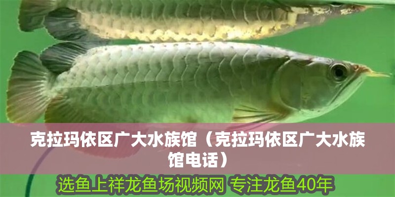 克拉瑪依區(qū)廣大水族館（克拉瑪依區(qū)廣大水族館電話）