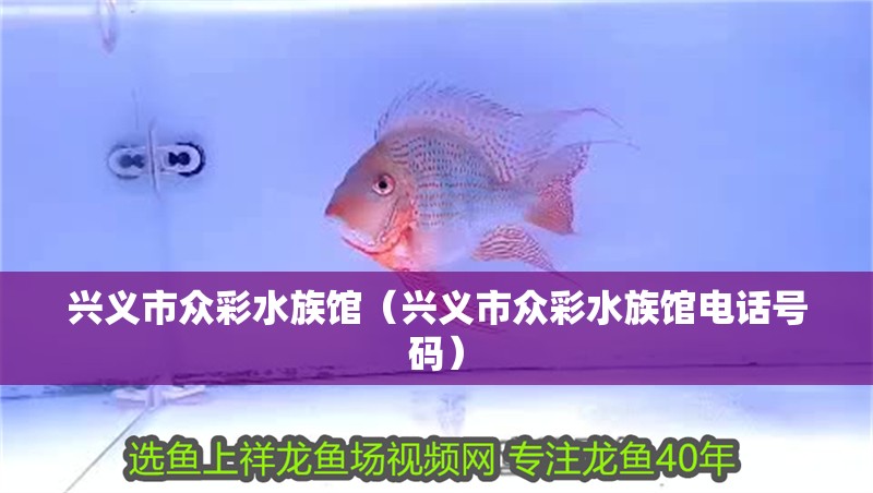 興義市眾彩水族館（興義市眾彩水族館電話號(hào)碼）