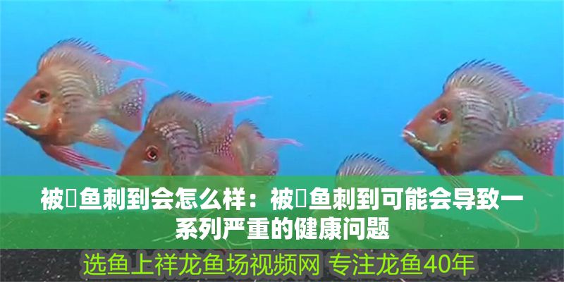 被魟魚刺到會怎么樣：被魟魚刺到可能會導致一系列嚴重的健康問題