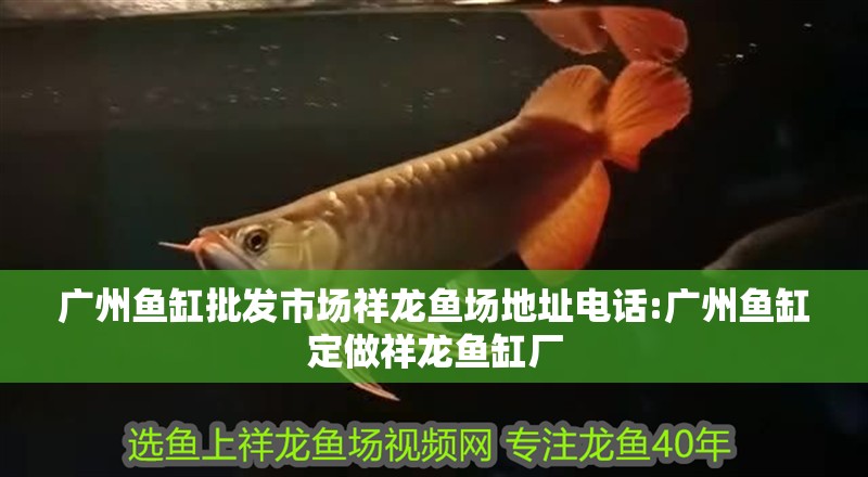 廣州魚缸批發市場祥龍魚場地址電話:廣州魚缸定做祥龍魚缸廠