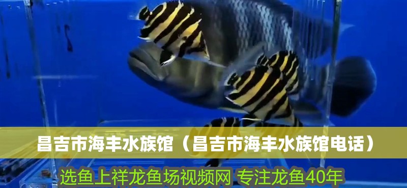 昌吉市海豐水族館（昌吉市海豐水族館電話）
