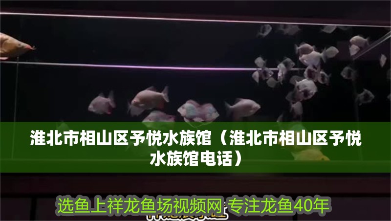 淮北市相山區(qū)予悅水族館（淮北市相山區(qū)予悅水族館電話）